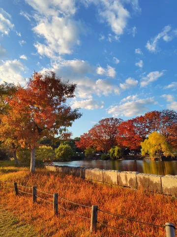 夕陽に燃える紅葉の湖畔
