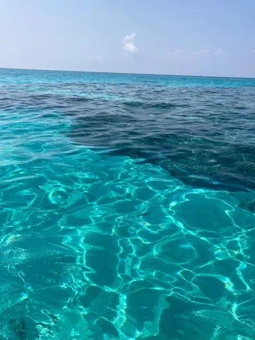 透きとおる海の光の波紋