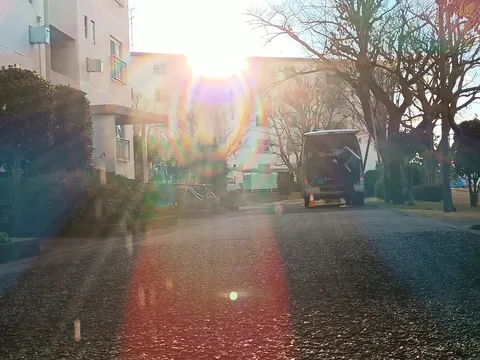 逆光に浮かぶ日常の一コマ