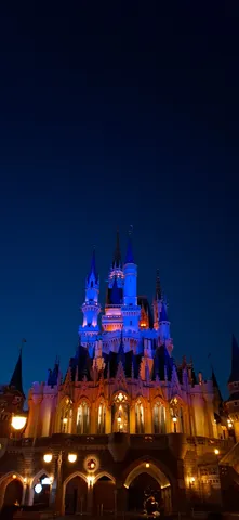 夜空を彩る魔法の城