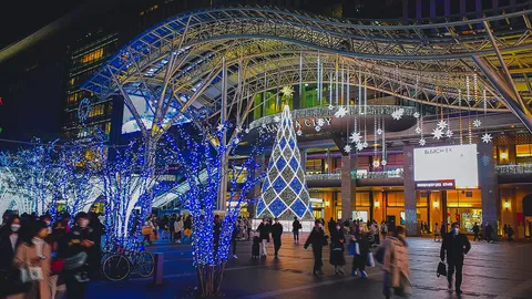 冬のイルミネーションが煌めく夜