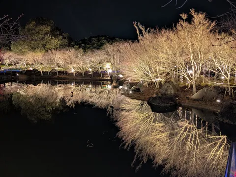 水面に映る光の庭園