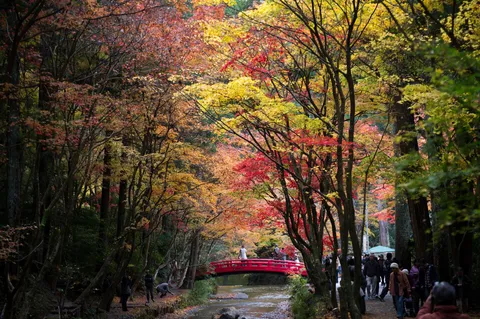錦秋に映える朱色の橋
