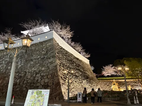 夜桜と石垣、歴史ロマン