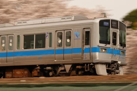 新緑の中を駆け抜ける青帯の車両