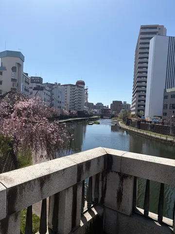 水辺に咲く春の彩り