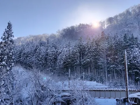 雪化粧の森、陽光きらめく