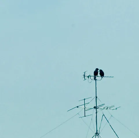 風と空の上で寄り添う