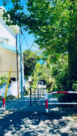 木漏れ日と坂道、どこか懐かしい風景