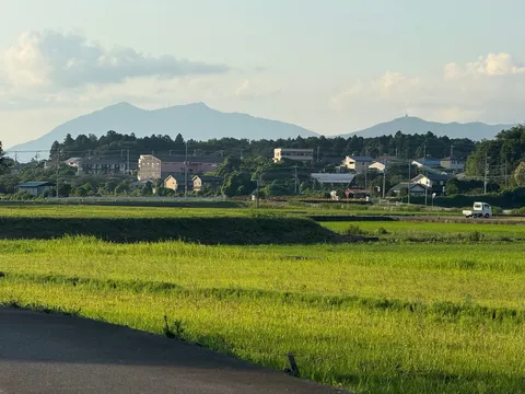 初夏の田園風景に癒される