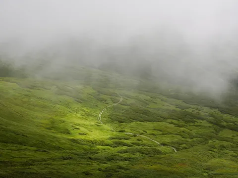 霧深い谷の緑の道