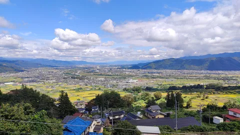 山影と稲穂の光景