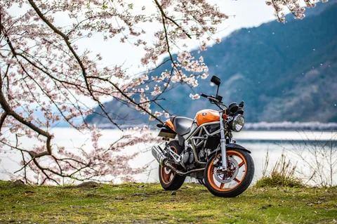 桜と愛車が彩る春の風景