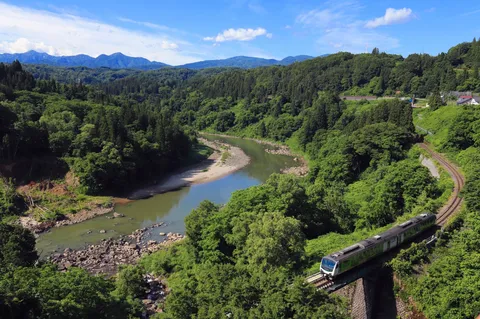 深緑の渓谷を行く電車