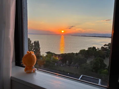 窓辺に沈む夕日の色