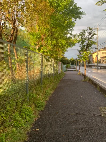 夕暮れの小道、穏やかな光の散歩道