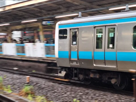 流しどり
