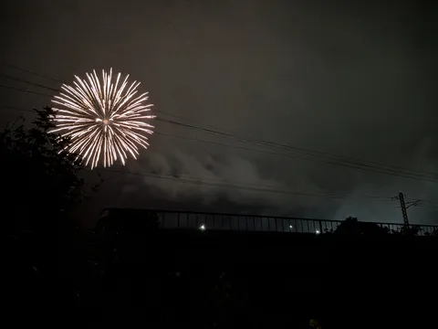 夜空に咲く大輪の光