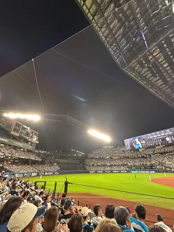 ナイター観戦、熱気と静寂
