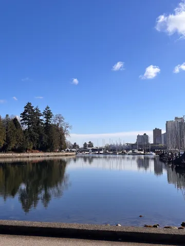 都会のオアシス、鏡の水面