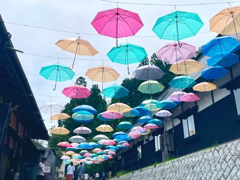 空を彩る、光の傘道