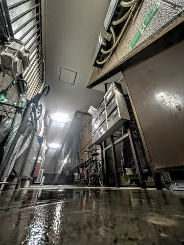 光を映す水面