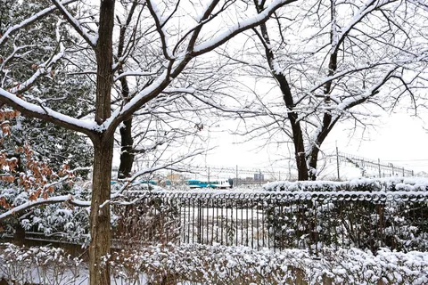 雪化粧の列車、静寂の息吹