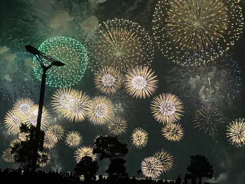 夜空を埋め尽くす光の華