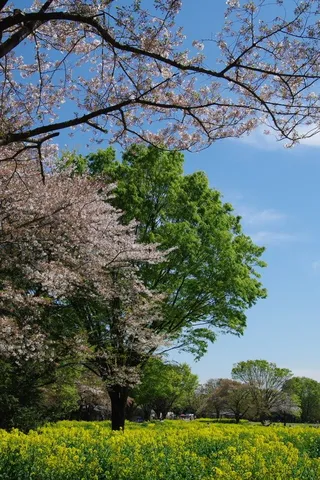 春の息吹、花と緑のコントラスト