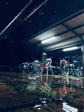 雨夜の駐輪場、濡れた輝き