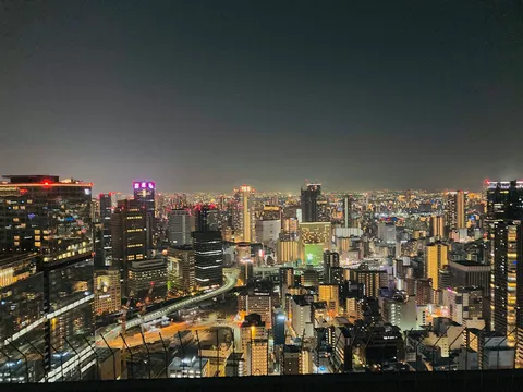 光の街を見下ろす夜