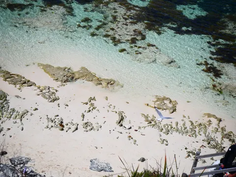 透明な海と白砂の静寂