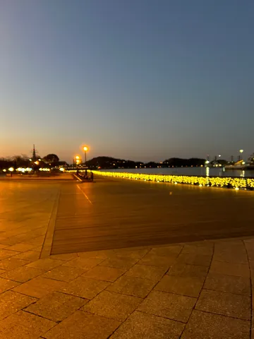 夜景の散歩道、光の絨毯