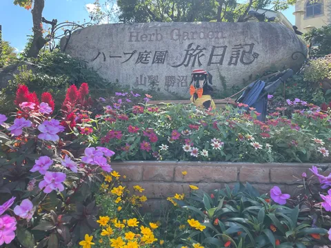ハーブ庭園の彩りと犬の仮装