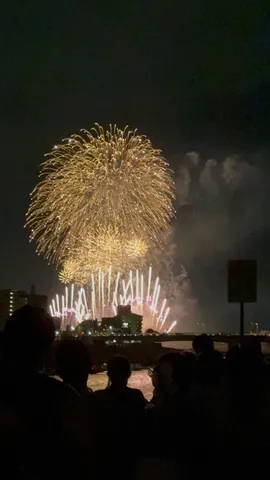 夜空に広がる黄金の光
