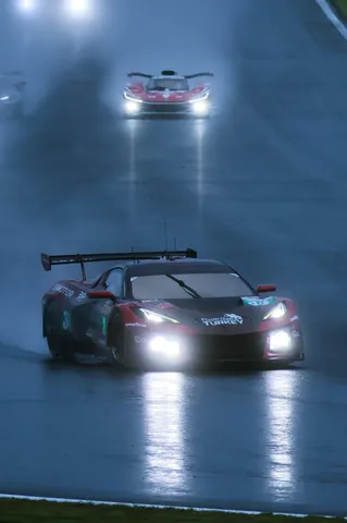 雨のウェットを駆ける影