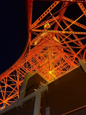 真夜中の東京タワー、鉄骨の誘惑