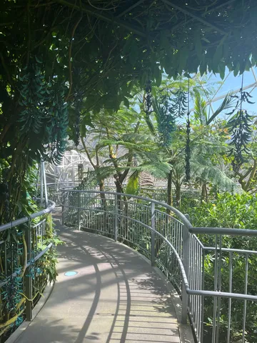 熱帯植物園の秘密の小道
