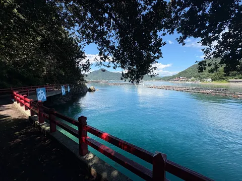 海辺の道、水面に映る緑