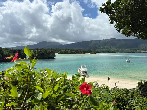 碧き入り江を彩る南国の花