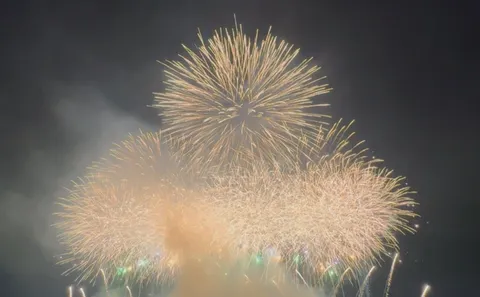 夜空に咲き誇る、黄金の華