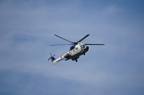 青空を舞う翼