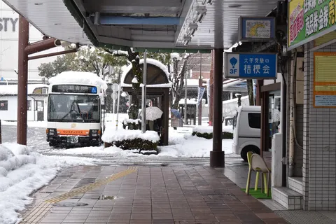 雪降るバス停、傘の花咲く