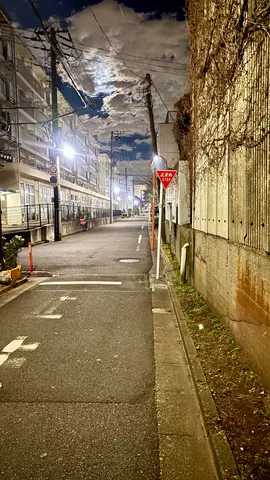 月明かりと細い道