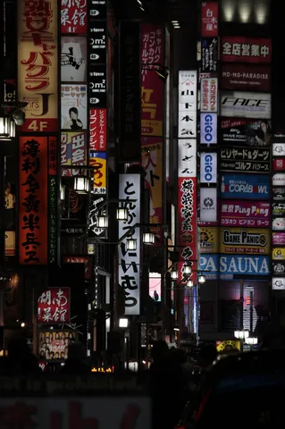 ネオンに吸い込まれる夜