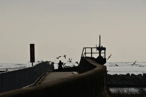 海風と鳥の渡し場