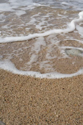 足元に寄せる波の音