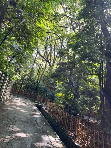 木漏れ日の小道、清流のせせらぎ