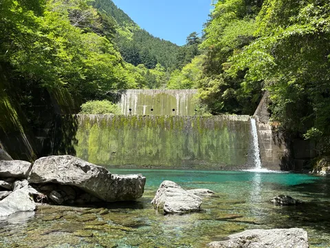 苔とエメラルド、静かなダム