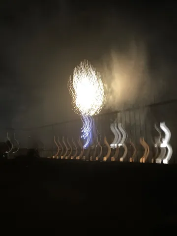 夜空に咲いた光の花火